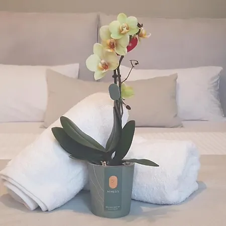 Aparthotel Marelia 4*